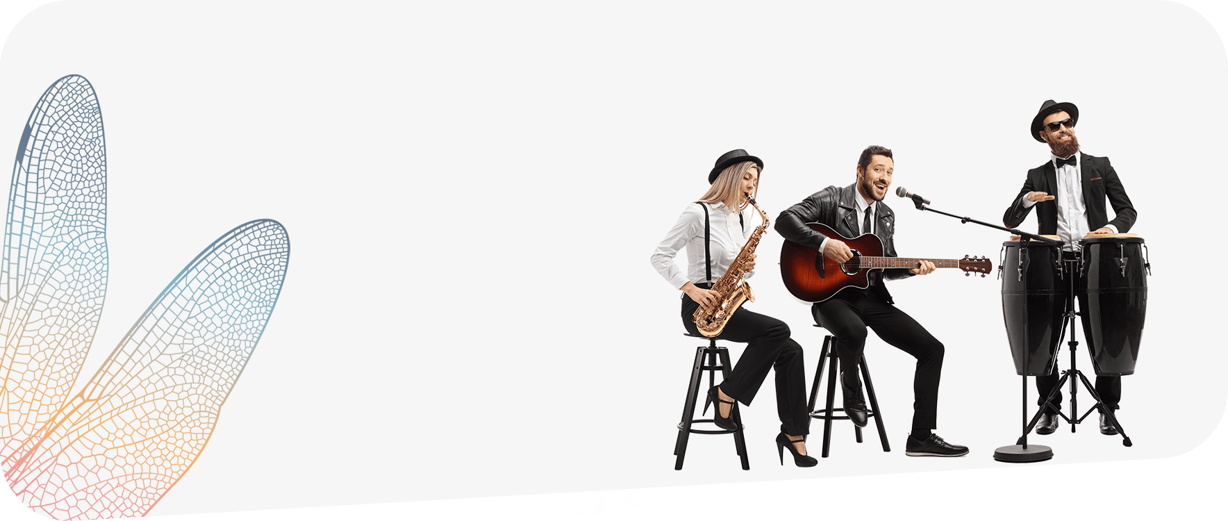 Konser Organizasyonları